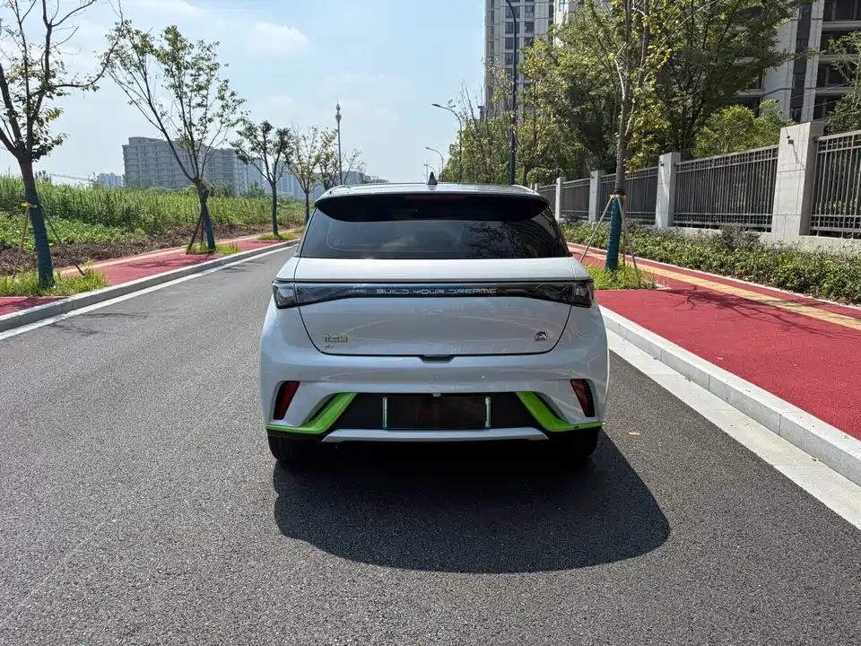 BYD dolphin