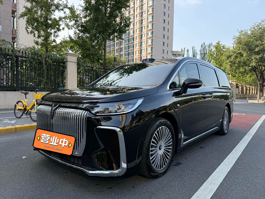 Voyah 2025 PHEV Flagship