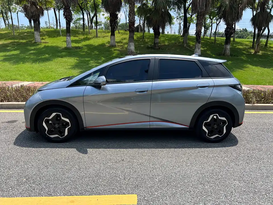 BYD dolphin