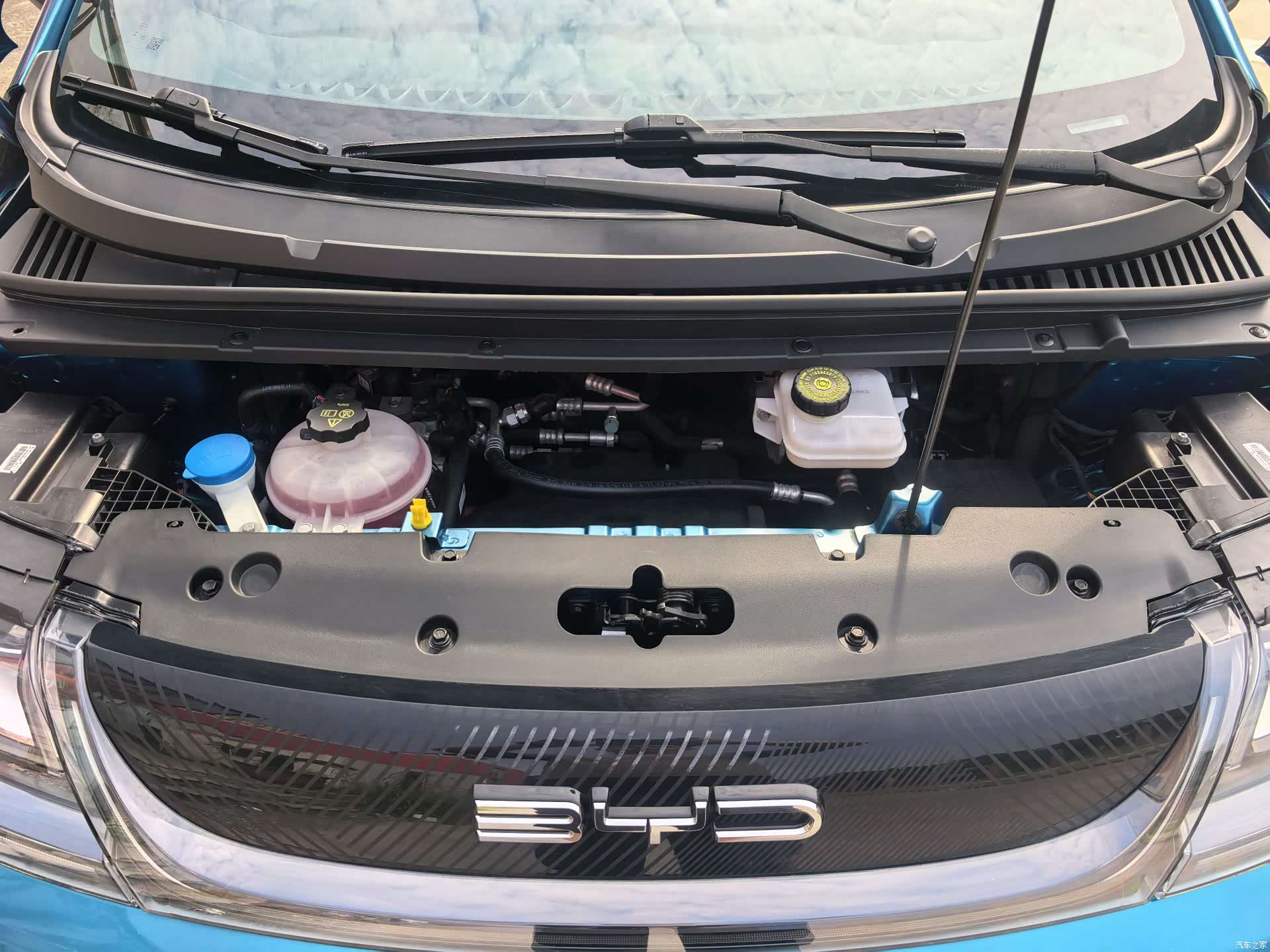 BYD Dolphin, 2022 15