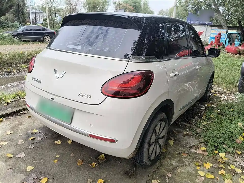 Wuling Wuling Bingguo