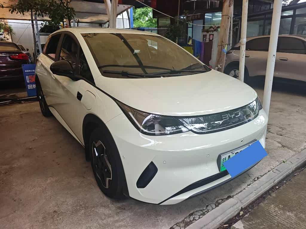 BYD Dolphin
