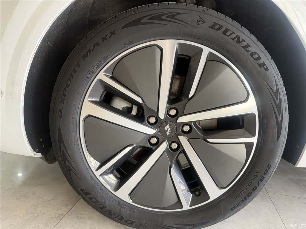 Li Auto L6, 2024 10