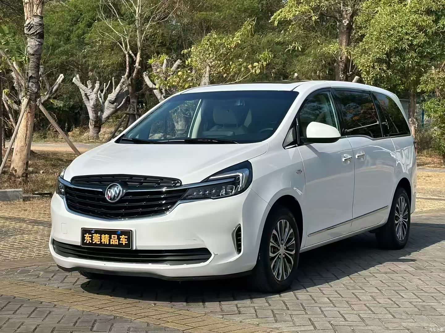 Buick GL8, 2022 3