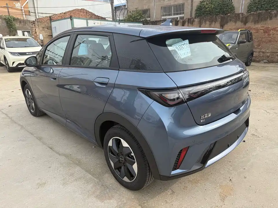 BYD dolphin