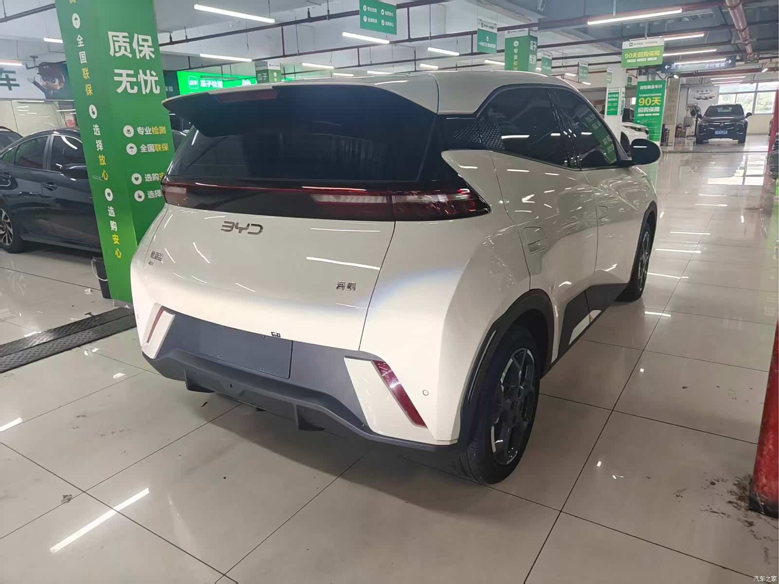 BYD Seagull, 2024 все фото