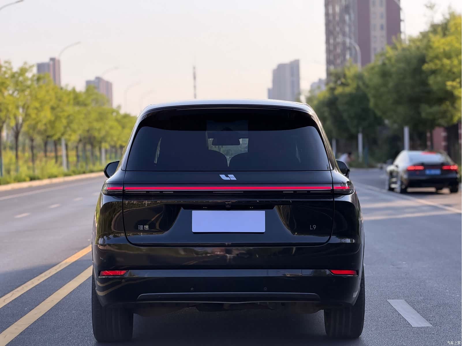 Li Auto L9, 2023 все фото