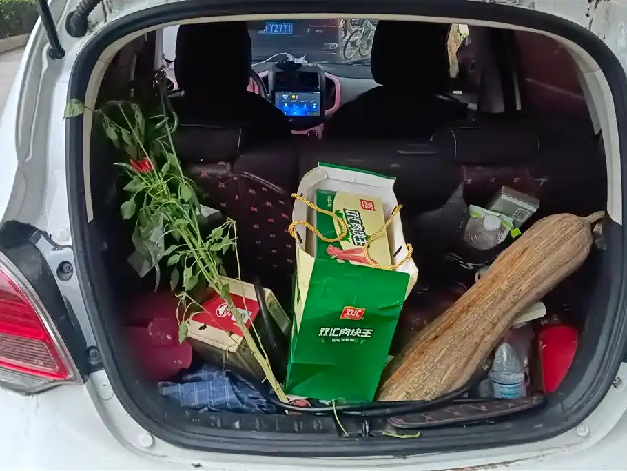 Changan Benben E-Star