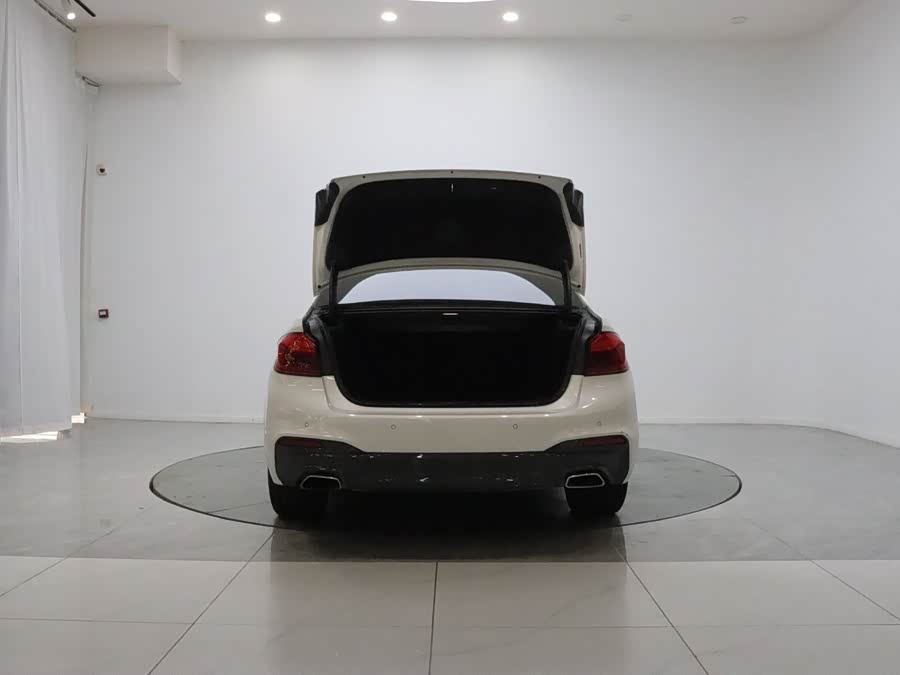 BMW 5 Series 2019, фото 9