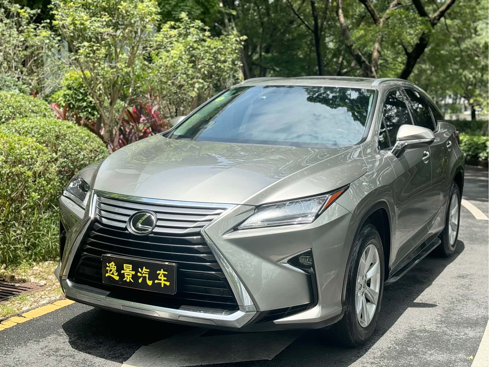 Lexus RX, 2017 1