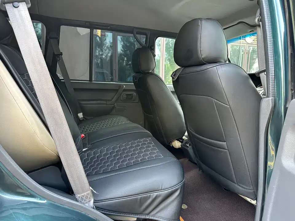 Leopaard Cheetah 6481