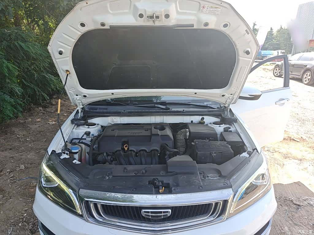 Geely Emgrand, 2020 20
