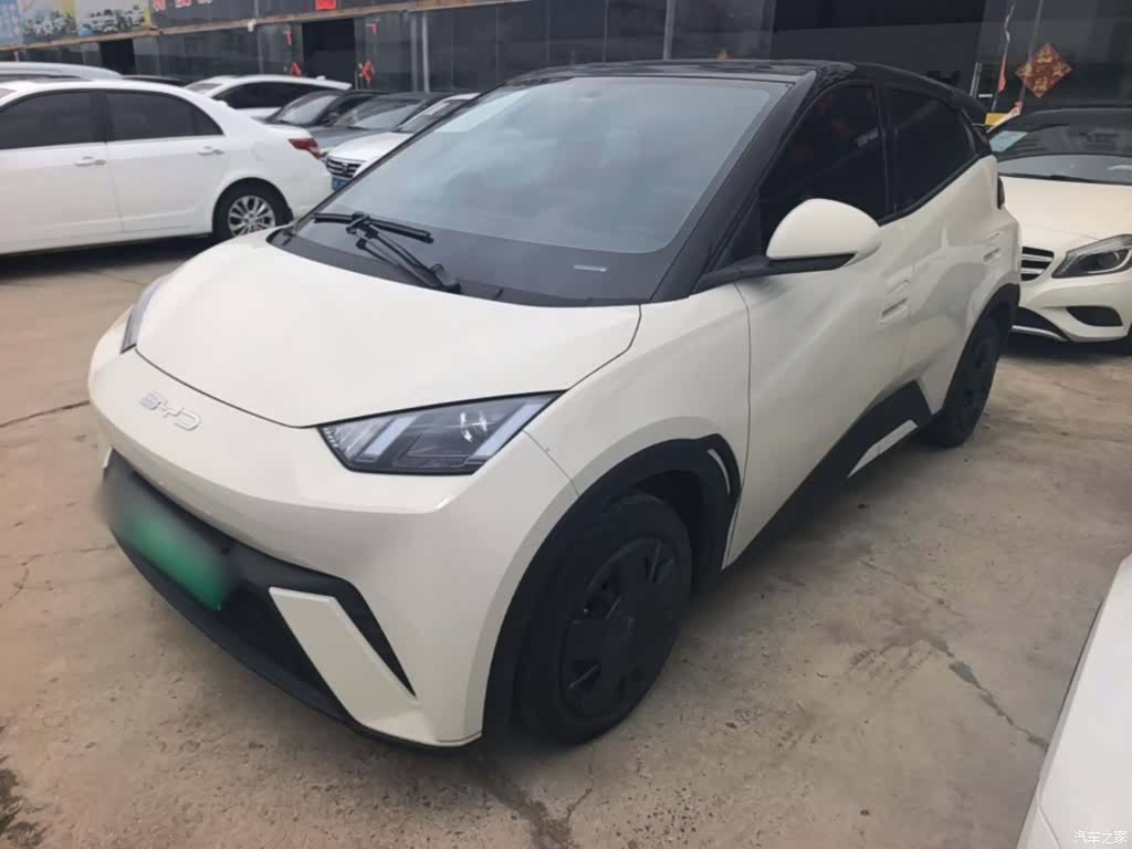 BYD Seagull, 2024 1