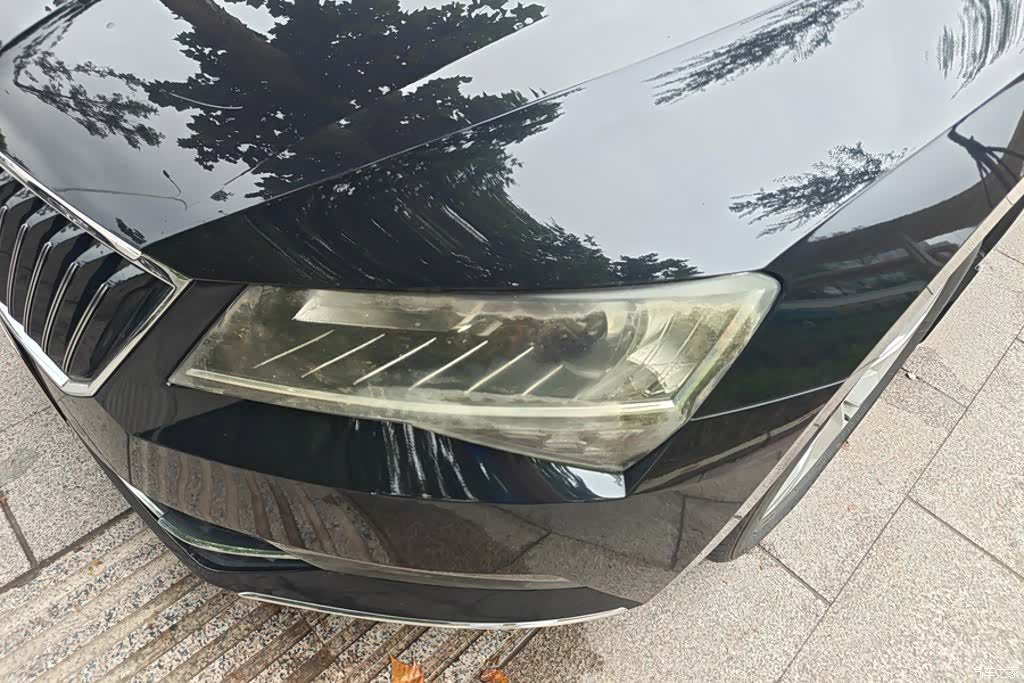 Skoda Superb, 2018 все фото