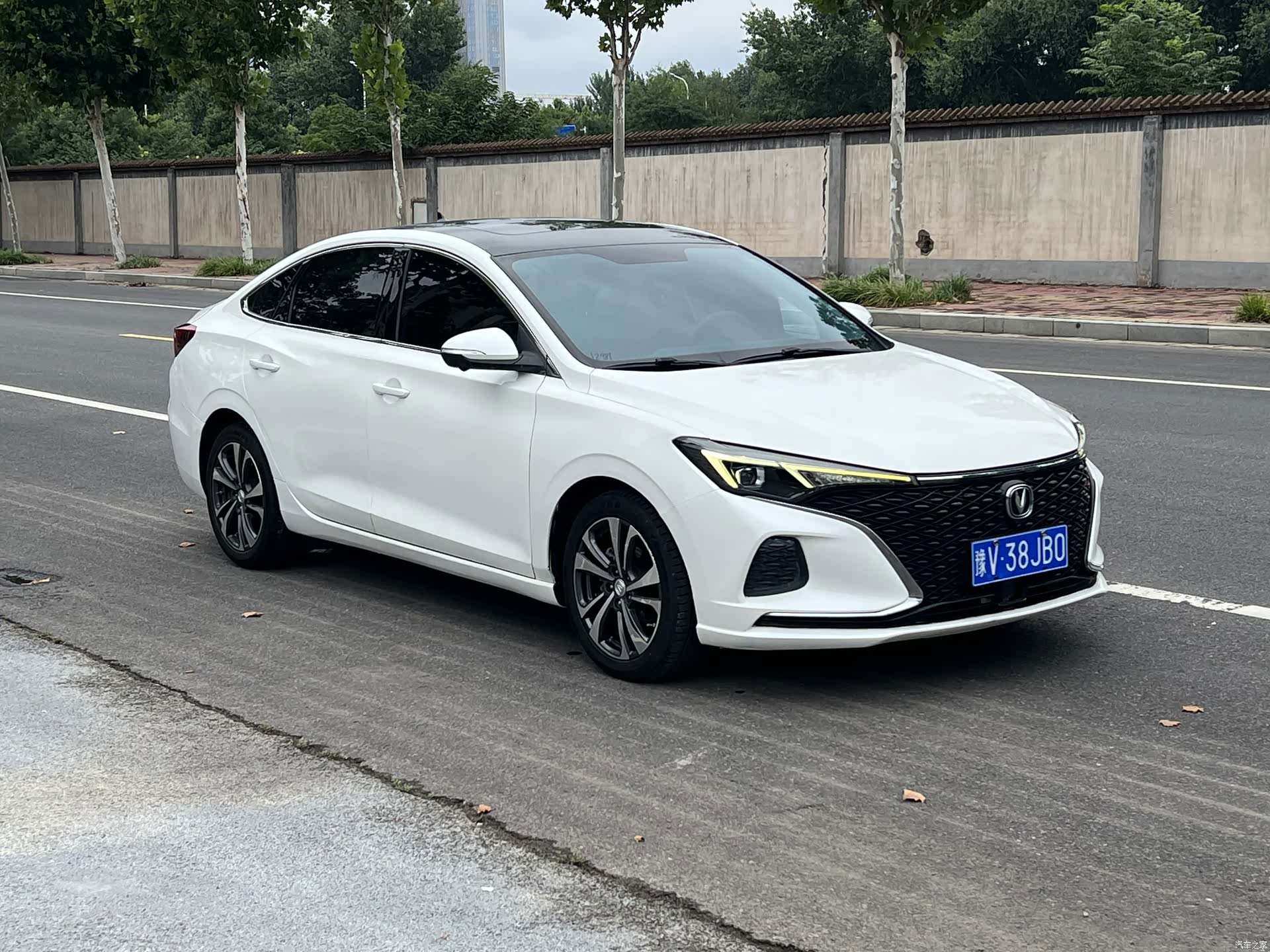 Changan Eado, 2020 3