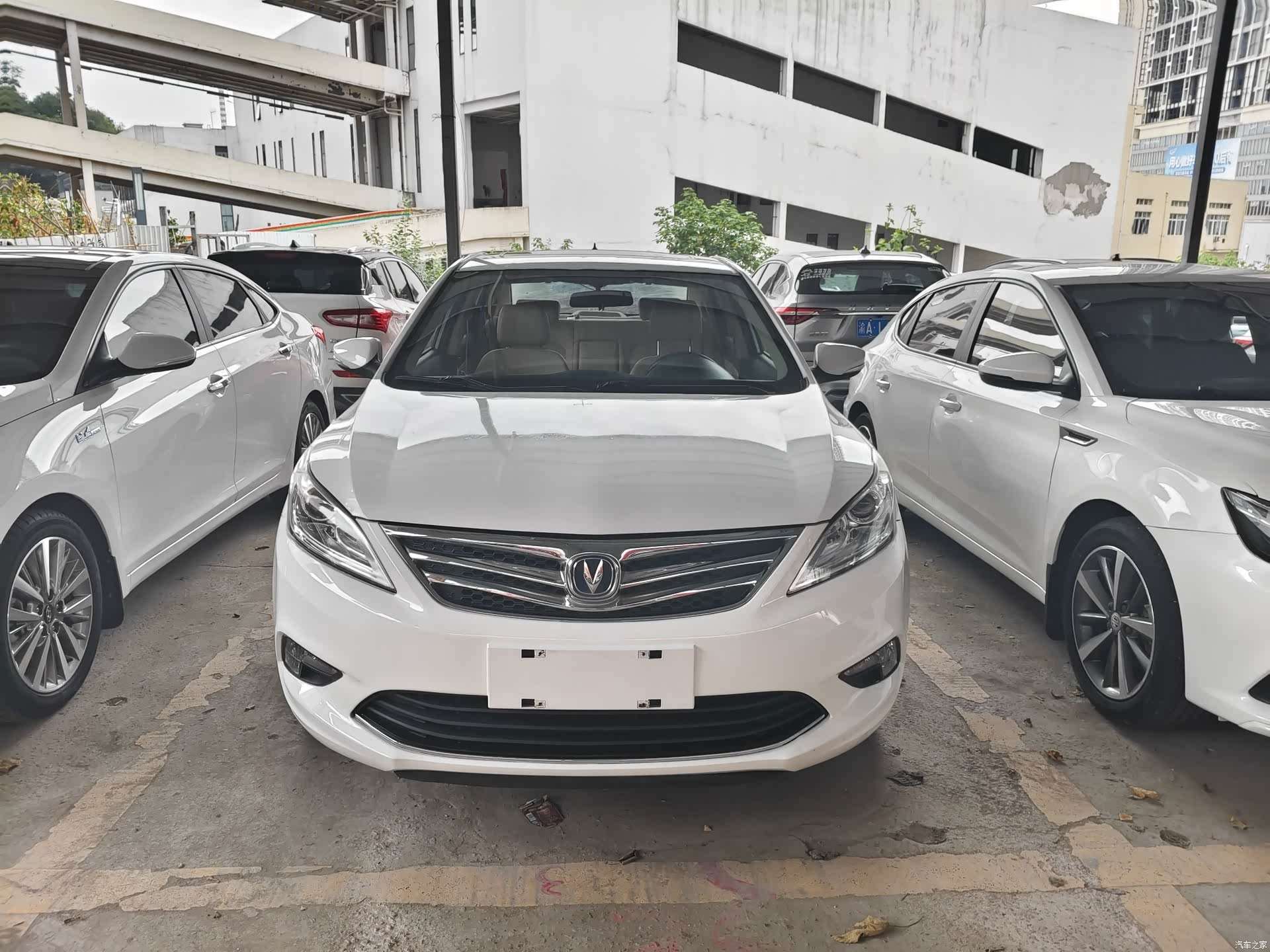 Changan Eado, 2016 2