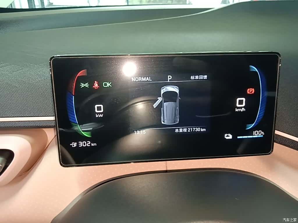 BYD Seagull, 2024 12