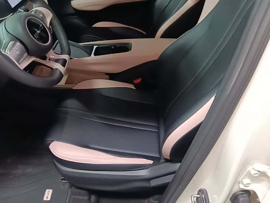 BYD Seagull, 2024 15