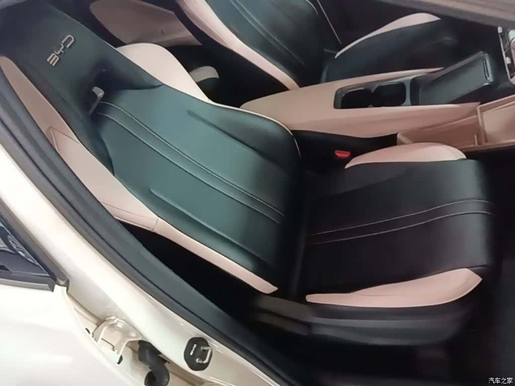 BYD Seagull, 2024 25
