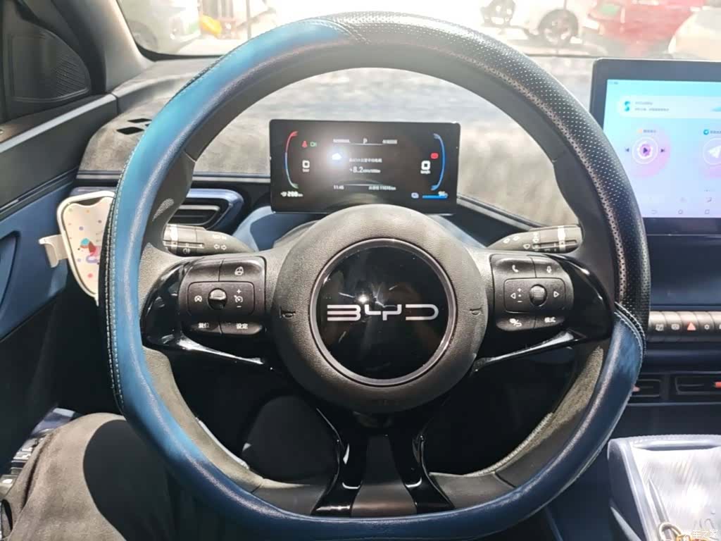 BYD Seagull, 2024 11