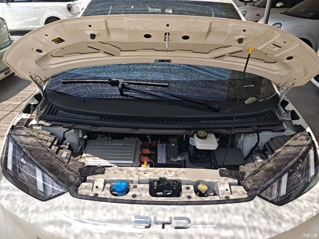 BYD Seagull, 2024 20