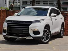 ��;���� 2019�� 1.6T ������ʯ��