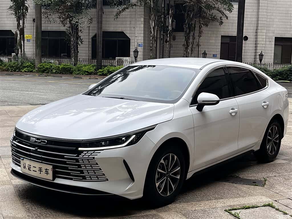BYD Destroyer 05, 2024 3