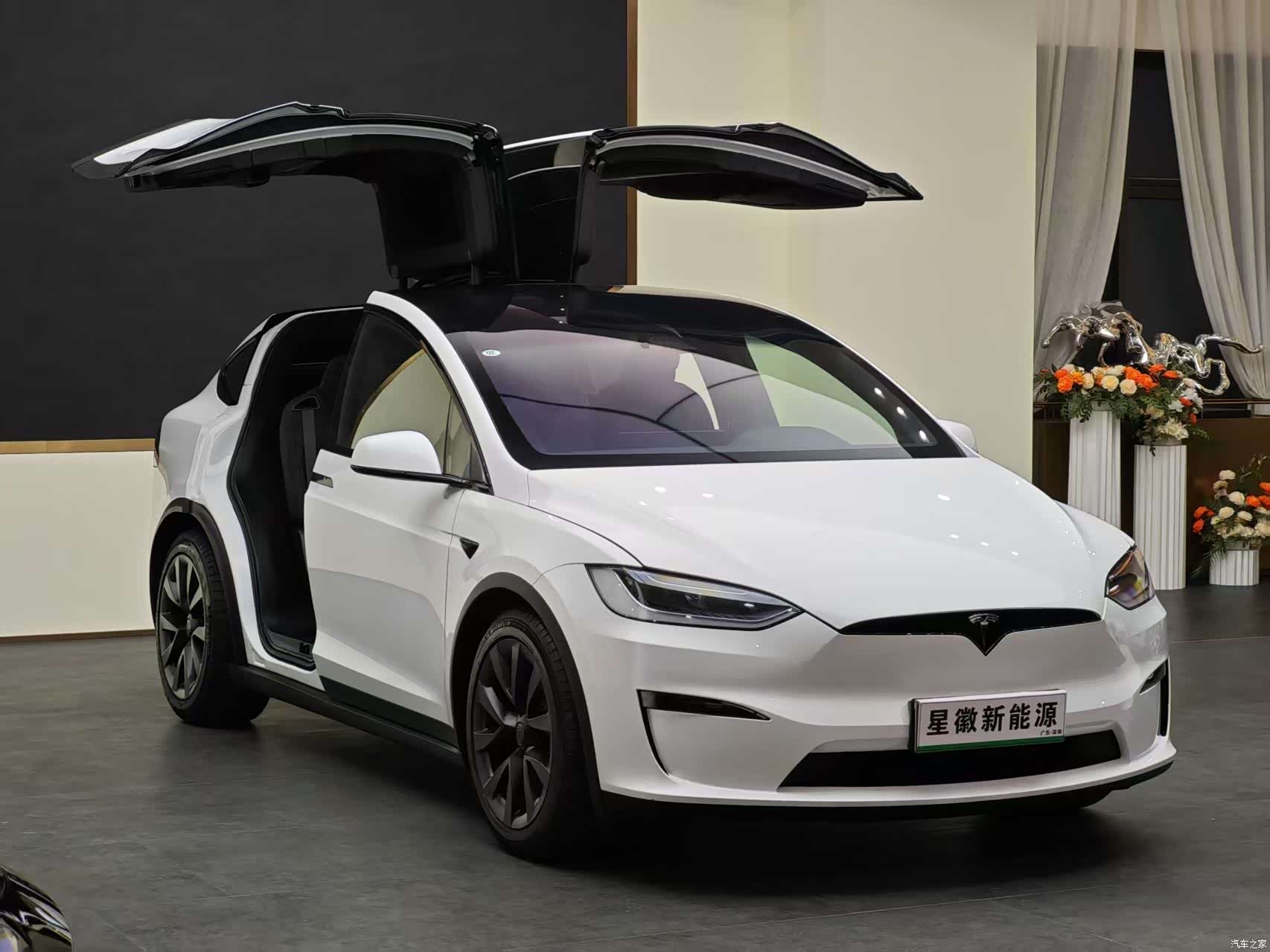 Tesla Model X, 2024 3