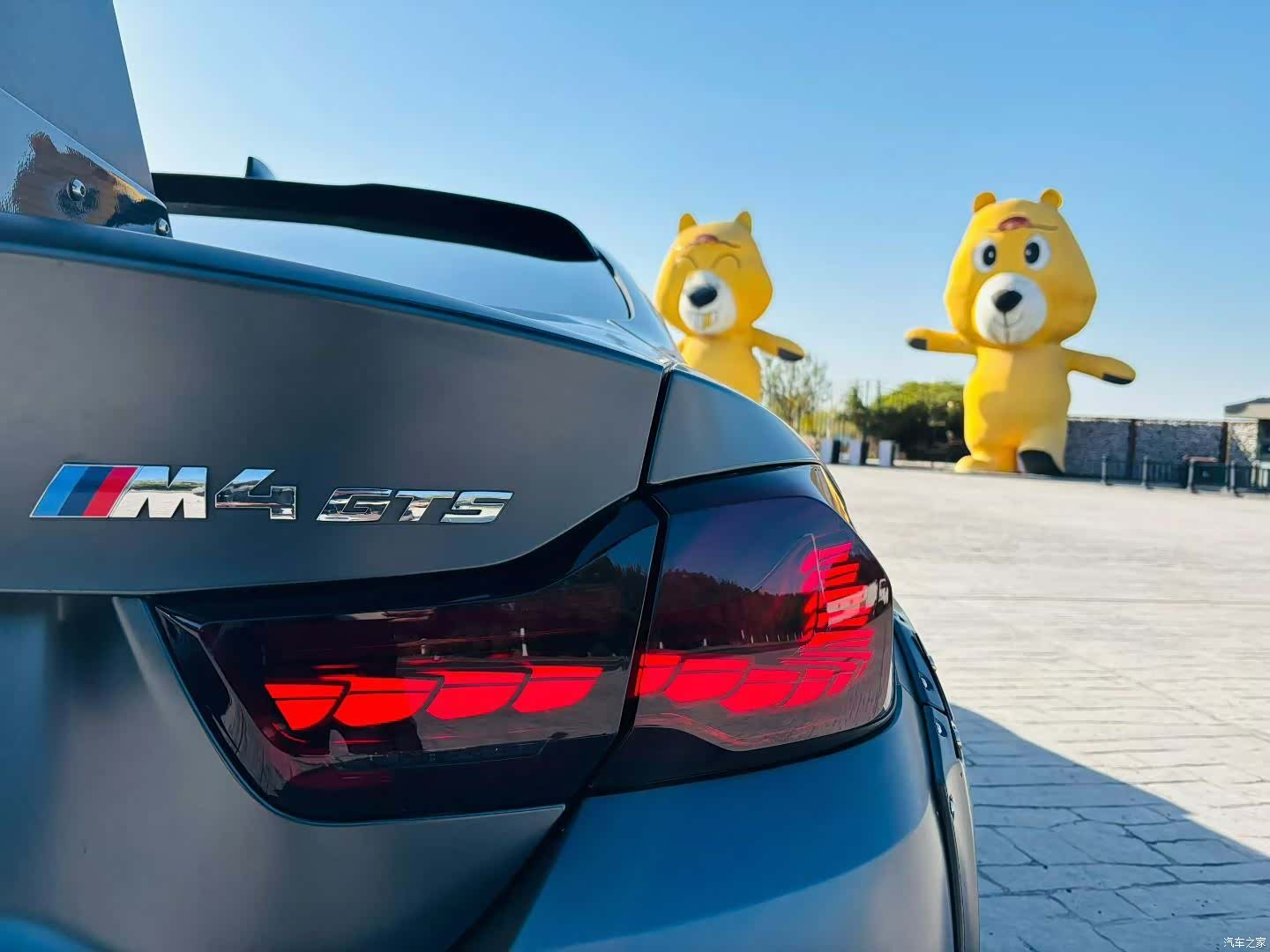 BMW M4, 2016 все фото