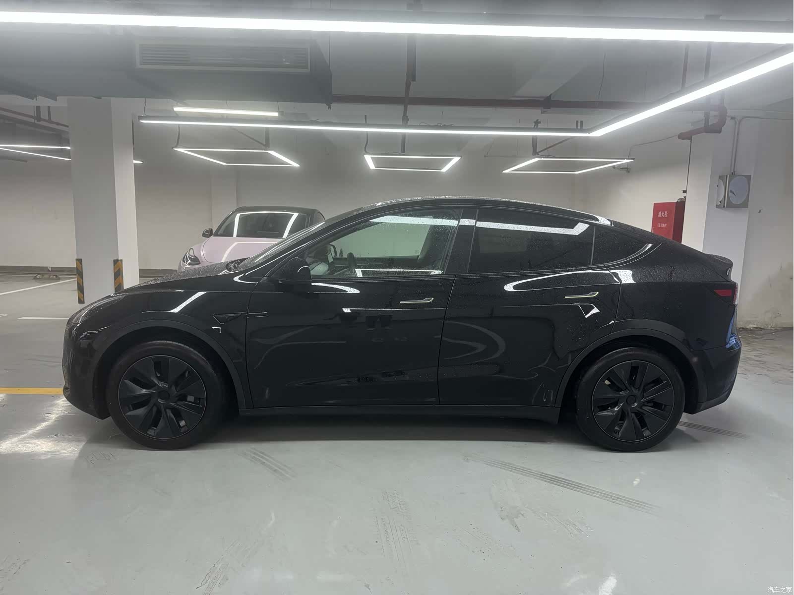 Tesla Model Y, 2023 3