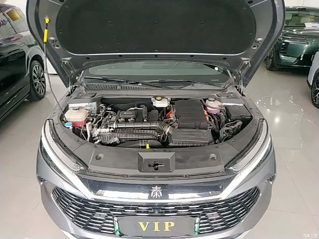 BYD Qin, 2025 20