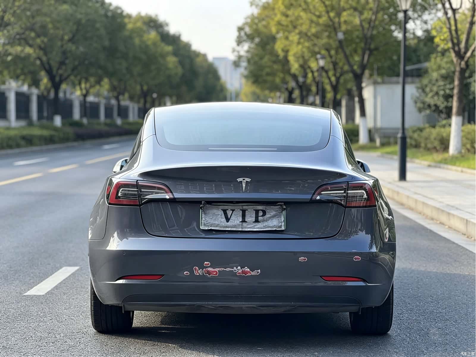Tesla Model 3, 2019 8