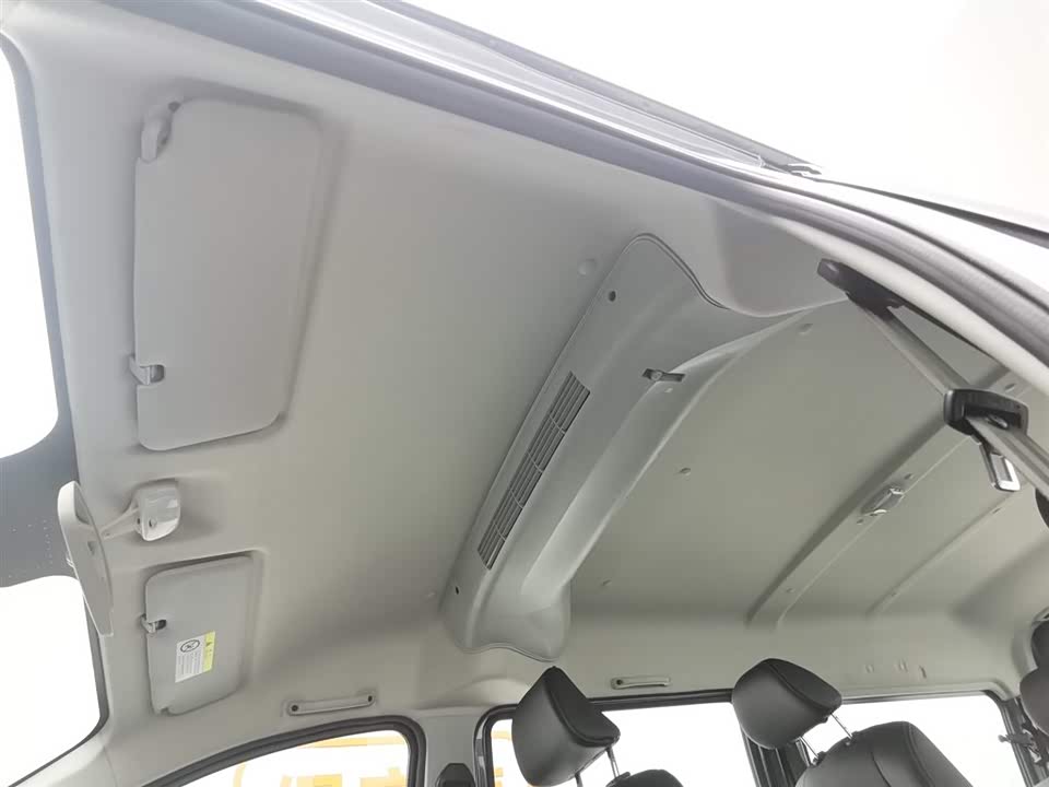 Shineray Golden Sea Lion M