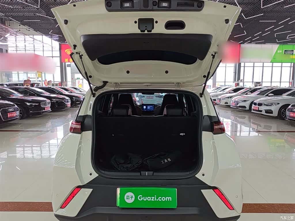 BYD Seagull, 2024 19