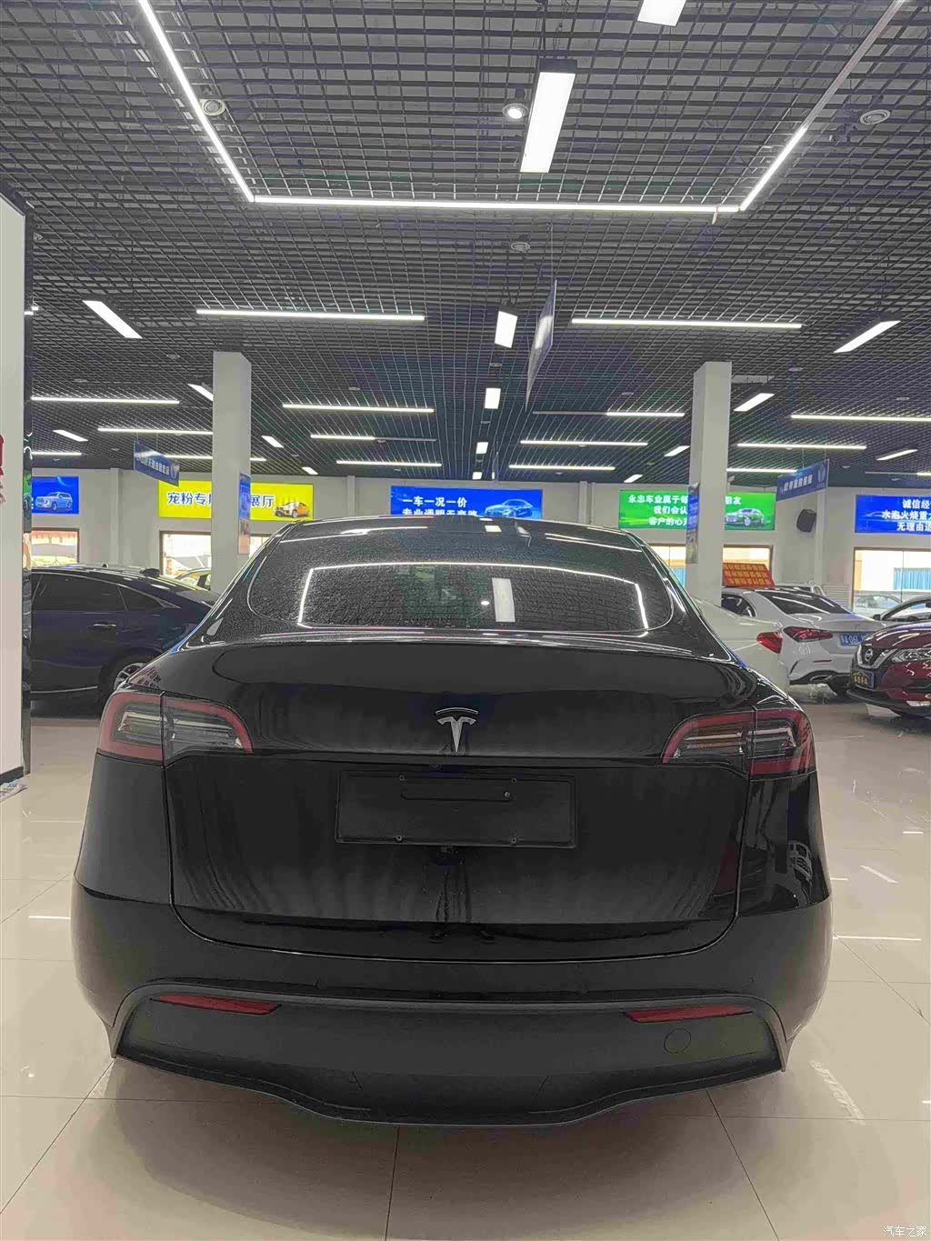 Tesla Model Y, 2021 все фото
