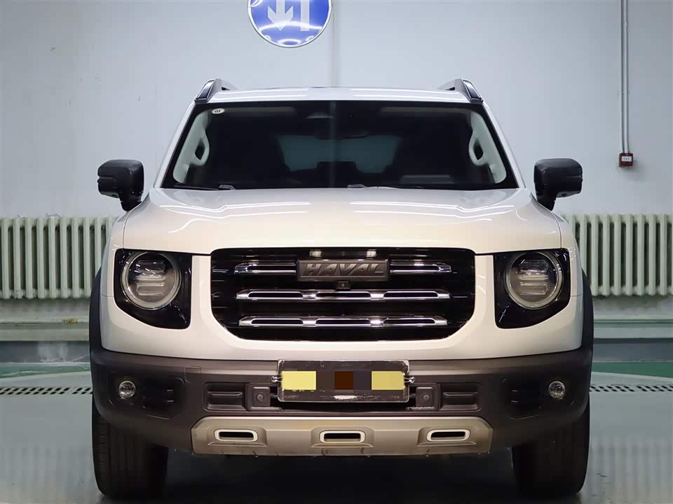 Haval Big dog
