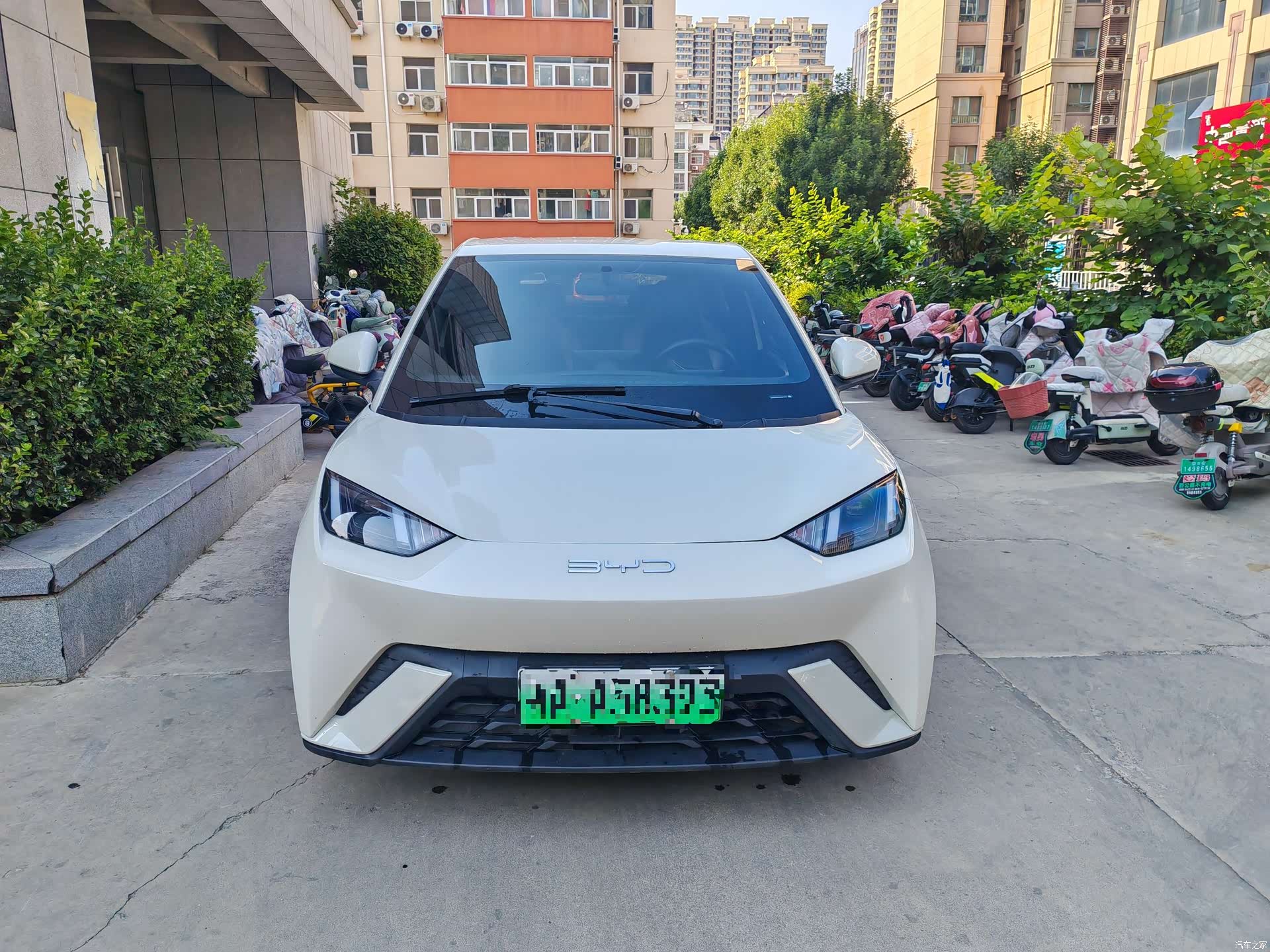 BYD Seagull, 2023 2