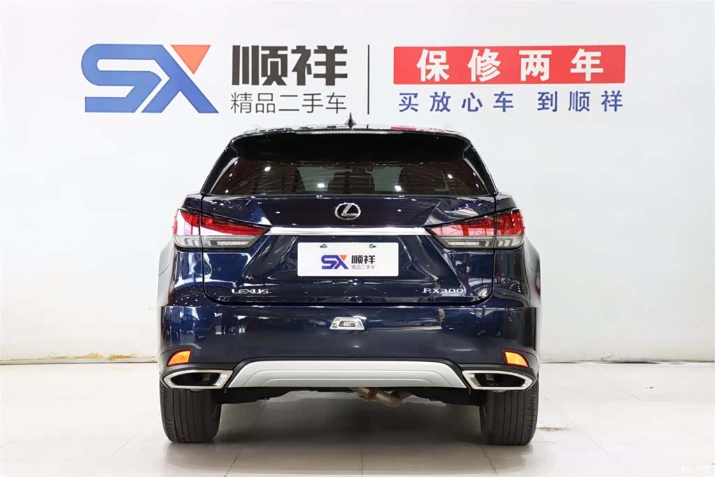 Lexus RX, 2022 все фото