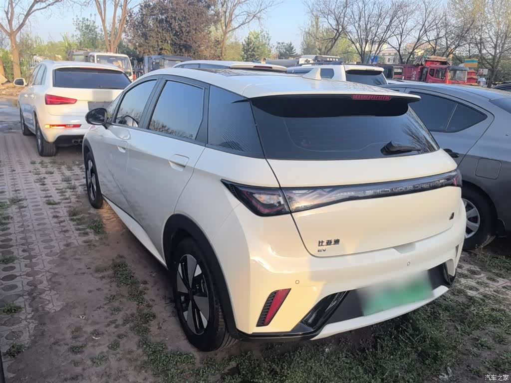 BYD Dolphin, 2023 все фото