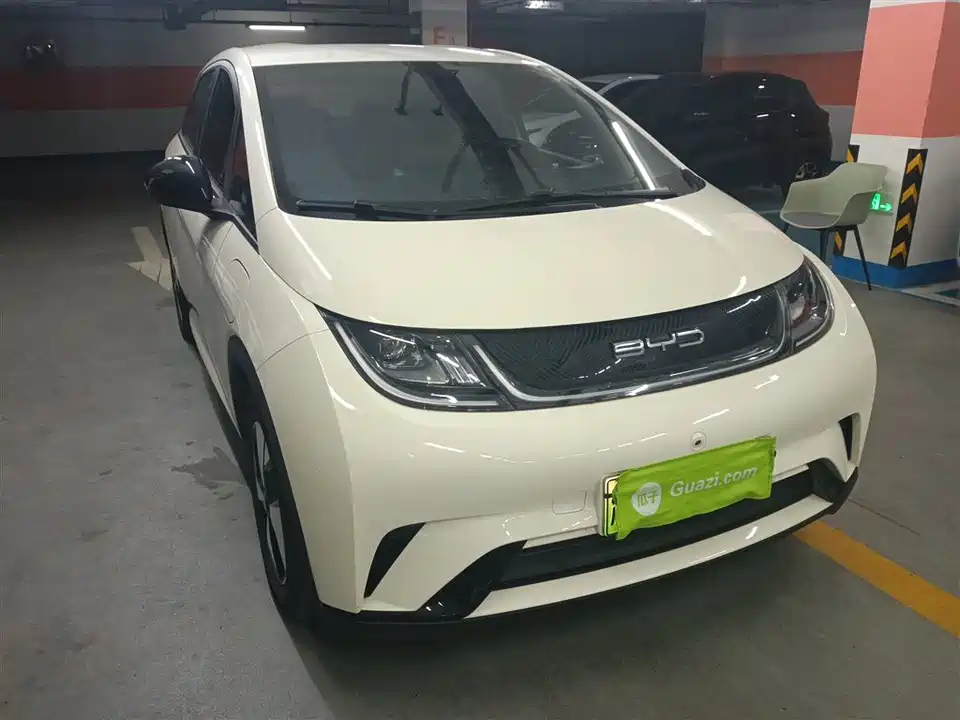 BYD dolphin