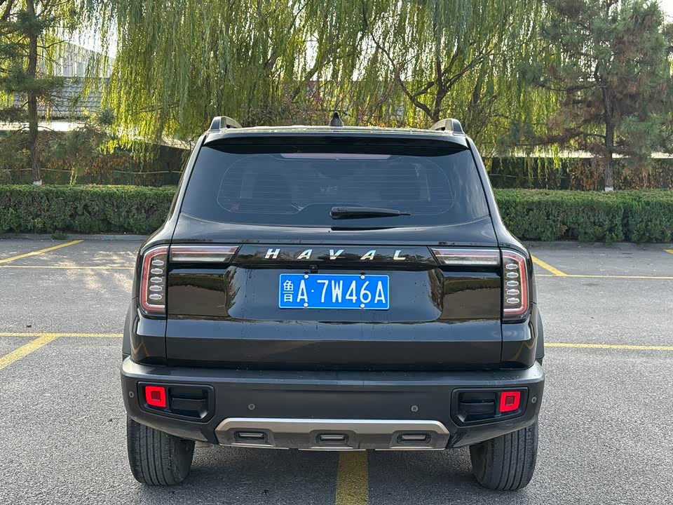 Haval Big dog