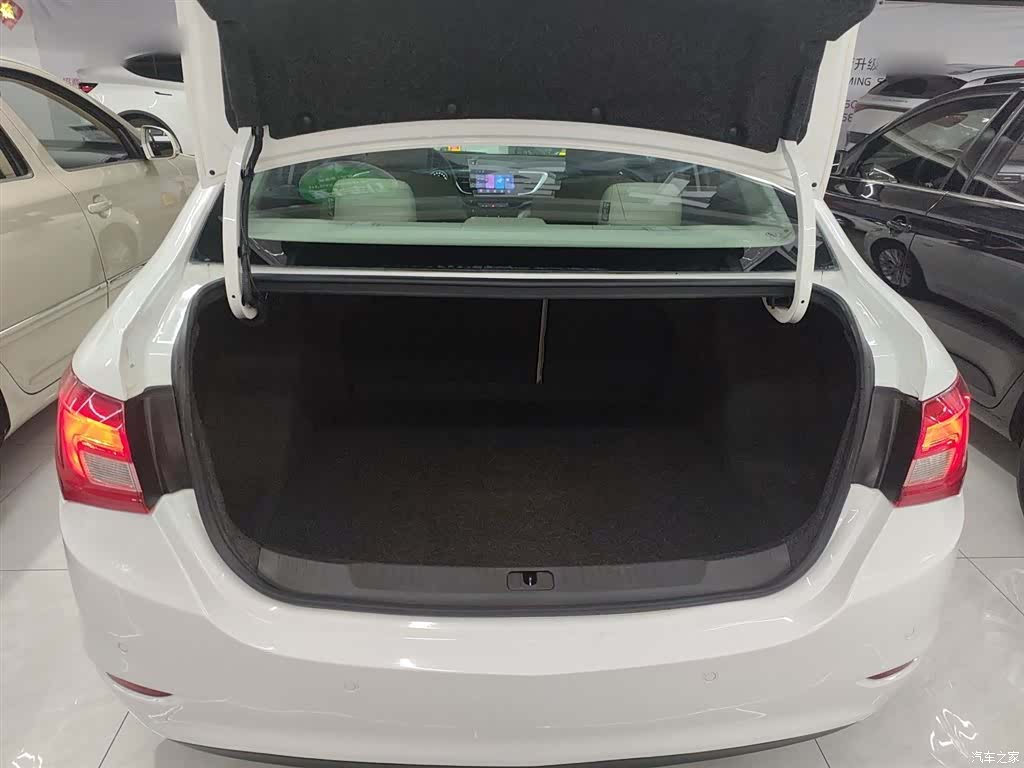 Buick 15N, 2017 19
