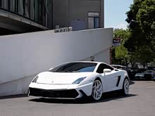Gallardo 2008 LP 560-4
