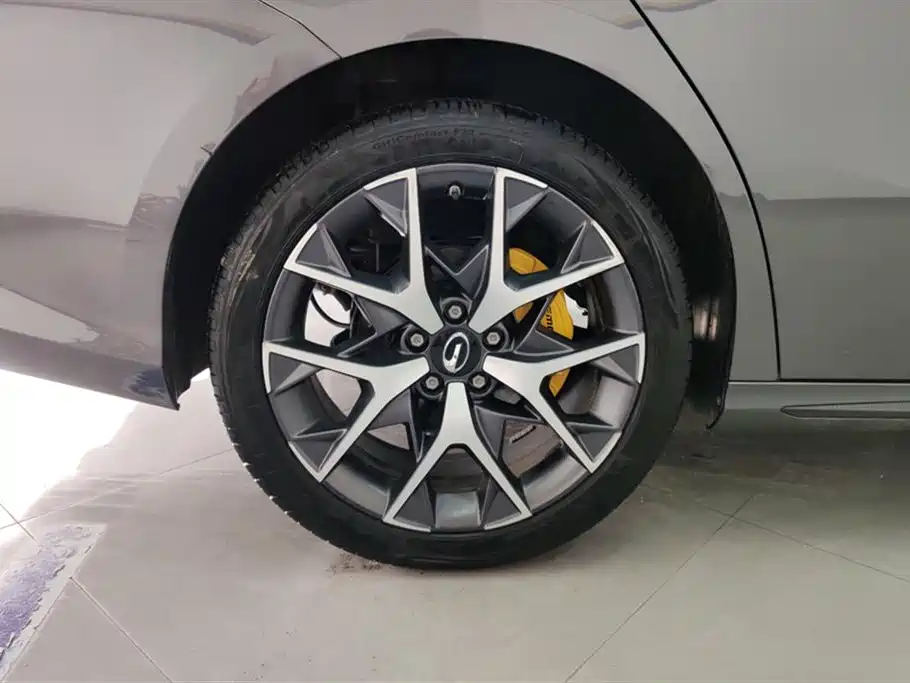 Trumpchi Shadow Leopard