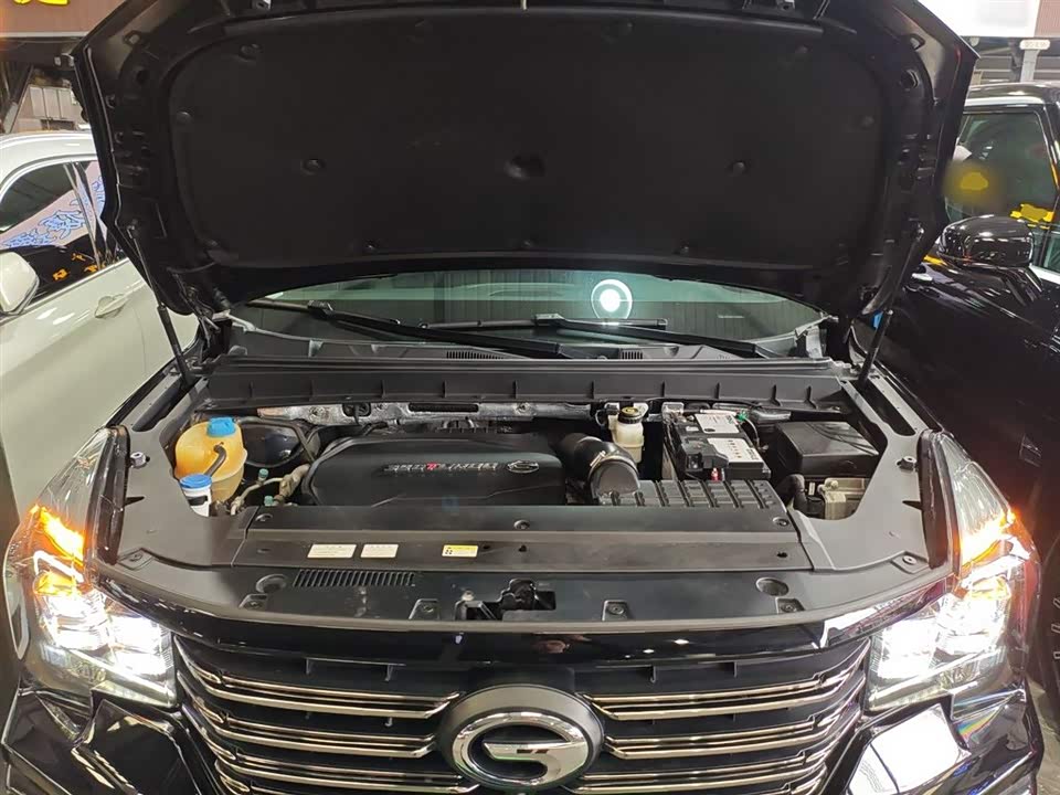 Trumpchi Trumpchi GS8