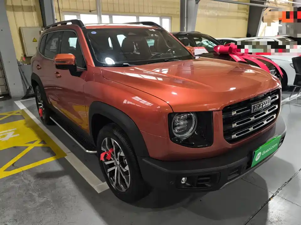 Haval Big dog