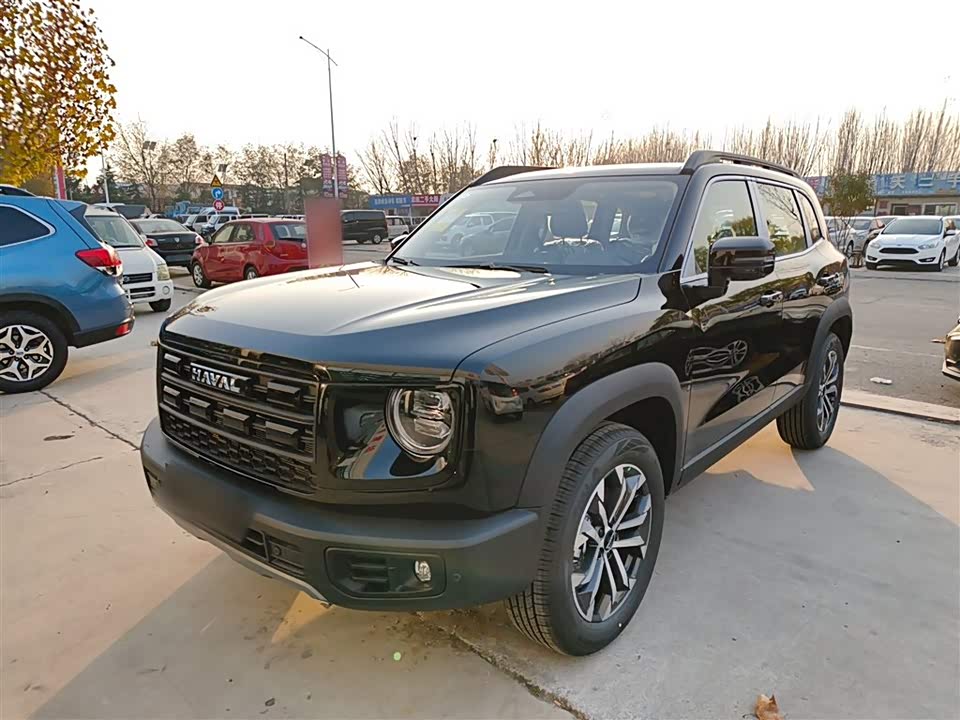 Haval Big dog