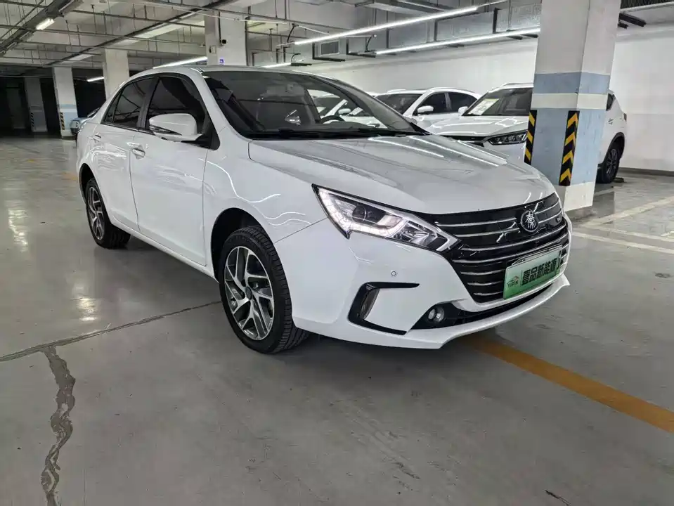 BYD Qinxin Energy