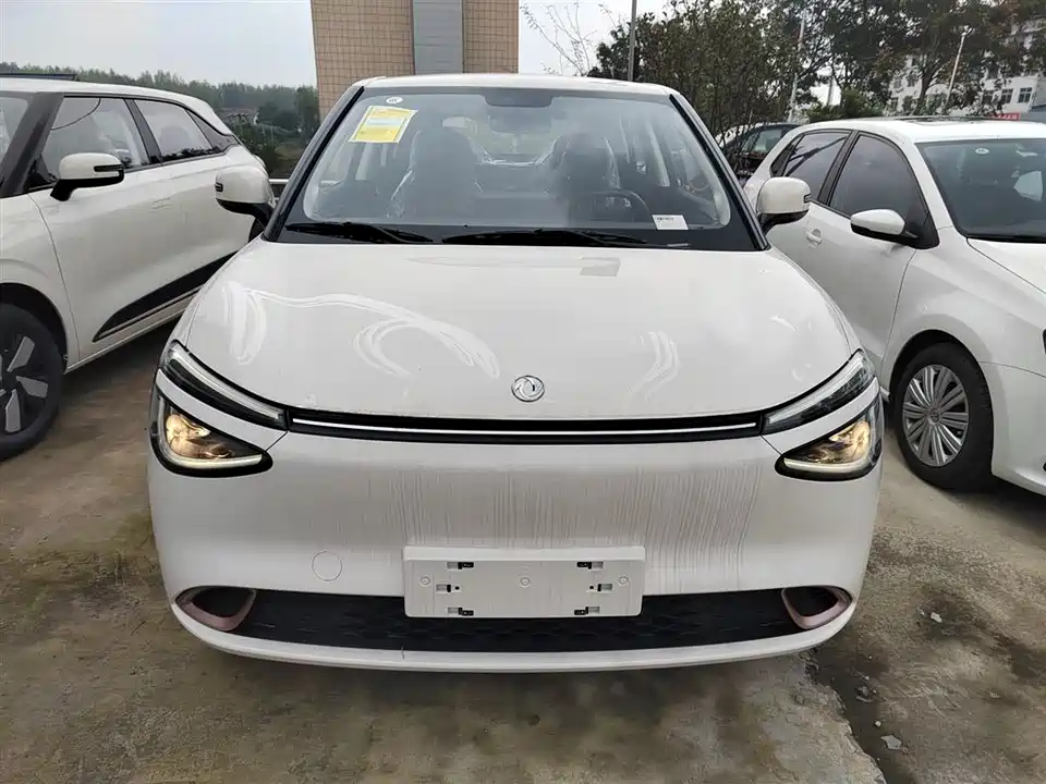 Dongfeng Nammi Nano 01