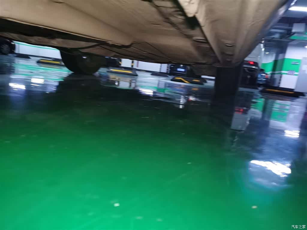 Volkswagen Bora, 2017 19